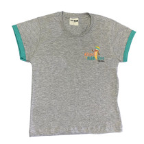 Camiseta Algodão Manga Curta Cinza Mescla