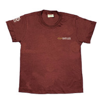 Camiseta Algodão Manga Curta Bordô